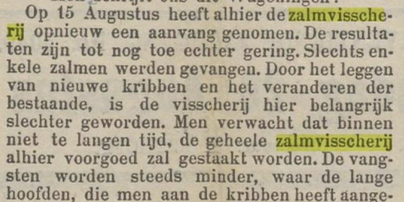 De zalmvisserij: een verhaal in&nbsp;knipsels