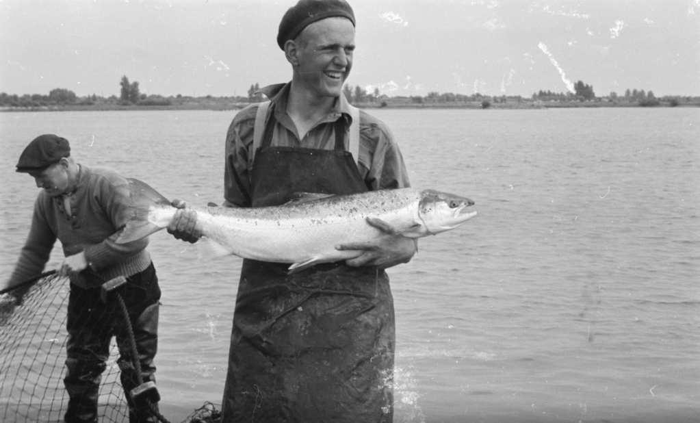 Haat en nijd in de&nbsp;zalmvisserij